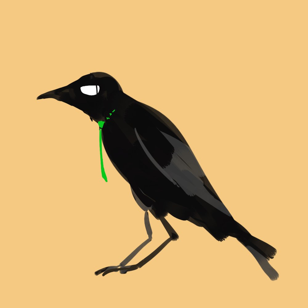 カラスBTK様